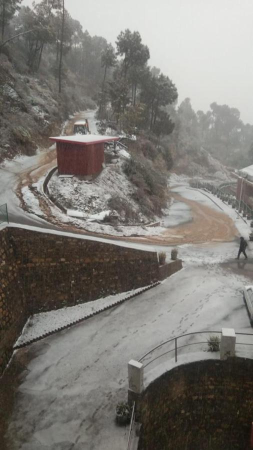 Amravati Resort Solan Dış mekan fotoğraf